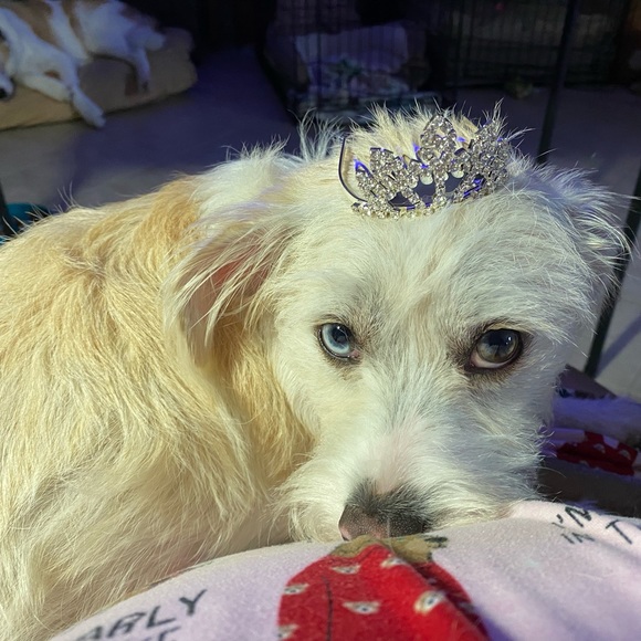 Enjoy the Time of your Life - Picture 2 of 4